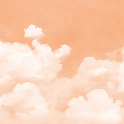 Cuddle Clouds, Peach Fuzz pattern image