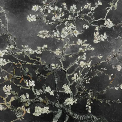 Almond Blossom, Black pattern image