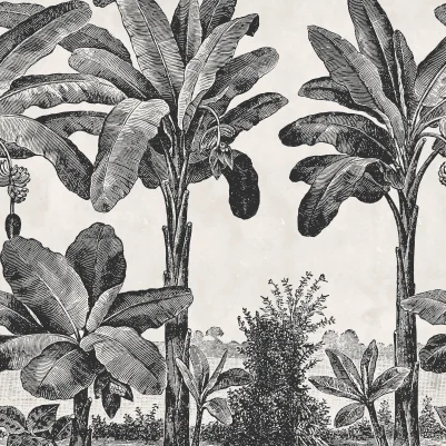 Timeless Tropics, Black & White pattern image