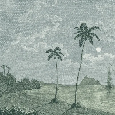 Palm Beach, Blue pattern image