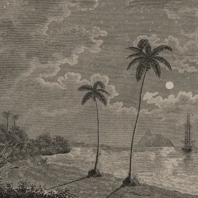 Palm Beach, Vintage pattern image