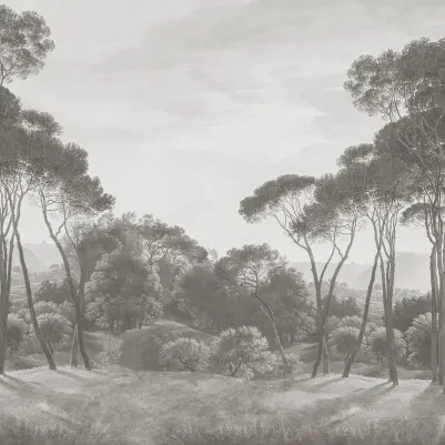 Pine Wood, Gray pattern image