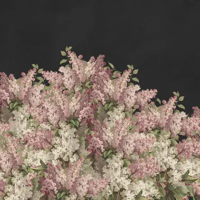 Syringa Flowers, Black pattern image
