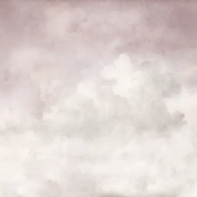 Vintage Clouds, Pink pattern image