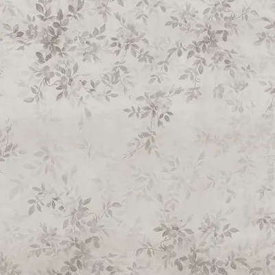Daydream, Gray pattern image