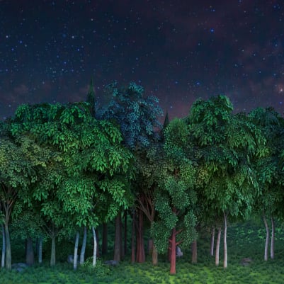 Gaming Woods, Night pattern image