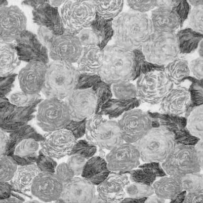 Sol Rosa, Black & White pattern image