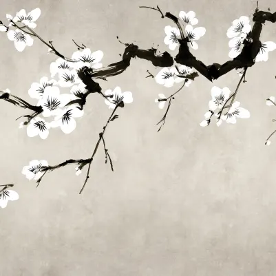 Blush of Spring, White pattern image