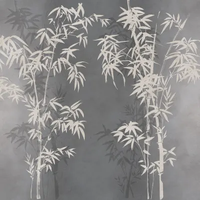 Bambusa, Gray pattern image