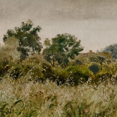 Oatfields, Summer pattern image