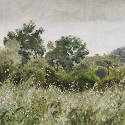 Oatfields, Spring pattern image