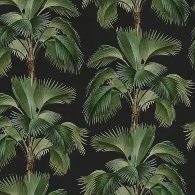 Tropical Rhythm, Black pattern image