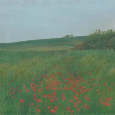 Poppy Landscape, Summer pattern image
