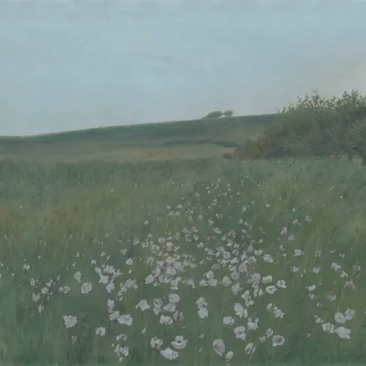 Poppy Landscape, Dusk pattern image