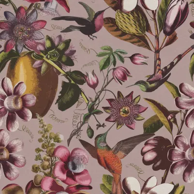 Flying Kolibri, Pink pattern image