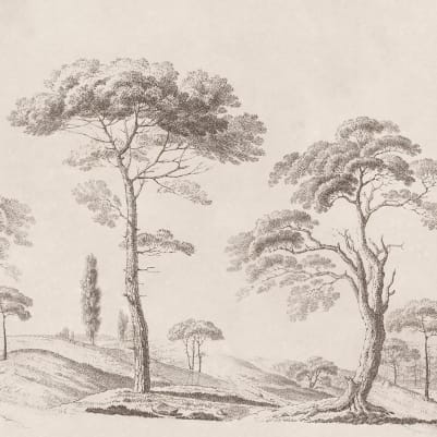 Tree Studies, Graphite pattern image