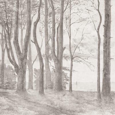 Woodland Linework, Graphite pattern image