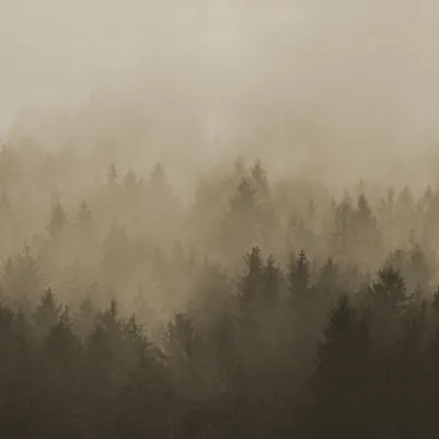 Cloudy Forest, Brown pattern image