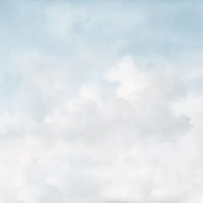 Vintage Clouds, Cloud Dancer pattern image