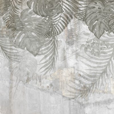 Monstera Wall, Gray pattern image