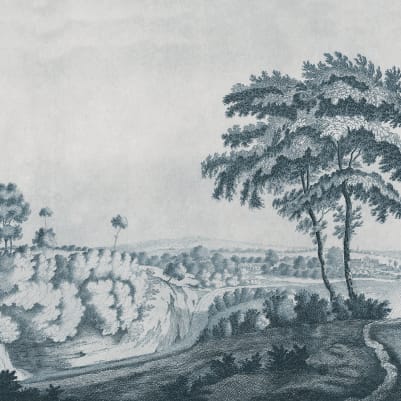Idyllic Landscape, Blue pattern image
