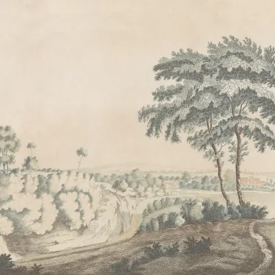 Idyllic Landscape, Dusty Pink pattern image