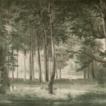 Lovers Forest, Green pattern image