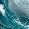 Wave