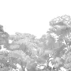 Bellewood, Gray Toile