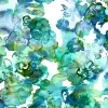 Lily Pond