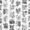 Fruit & Flora
