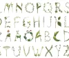 Floral Alphabet
