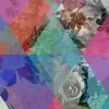 Harlequin Roses