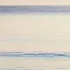 Graceful Sea