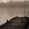 Misty Lake