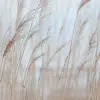Swaying Reed