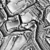 Dried Clay