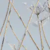 Frostwork