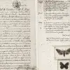 The Butterfly Library