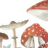 Woods of Wonder