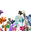 May Meadow