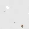 Stargazing, Dusk