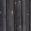 Coffee Wood