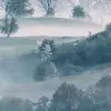 Morning Haze