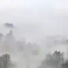 Morning Fog