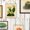 Cactus Wall Art