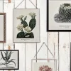 Cactus Wall Art, Faded