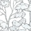Animal Tree