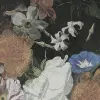 Blooming