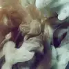 Frozen Moment